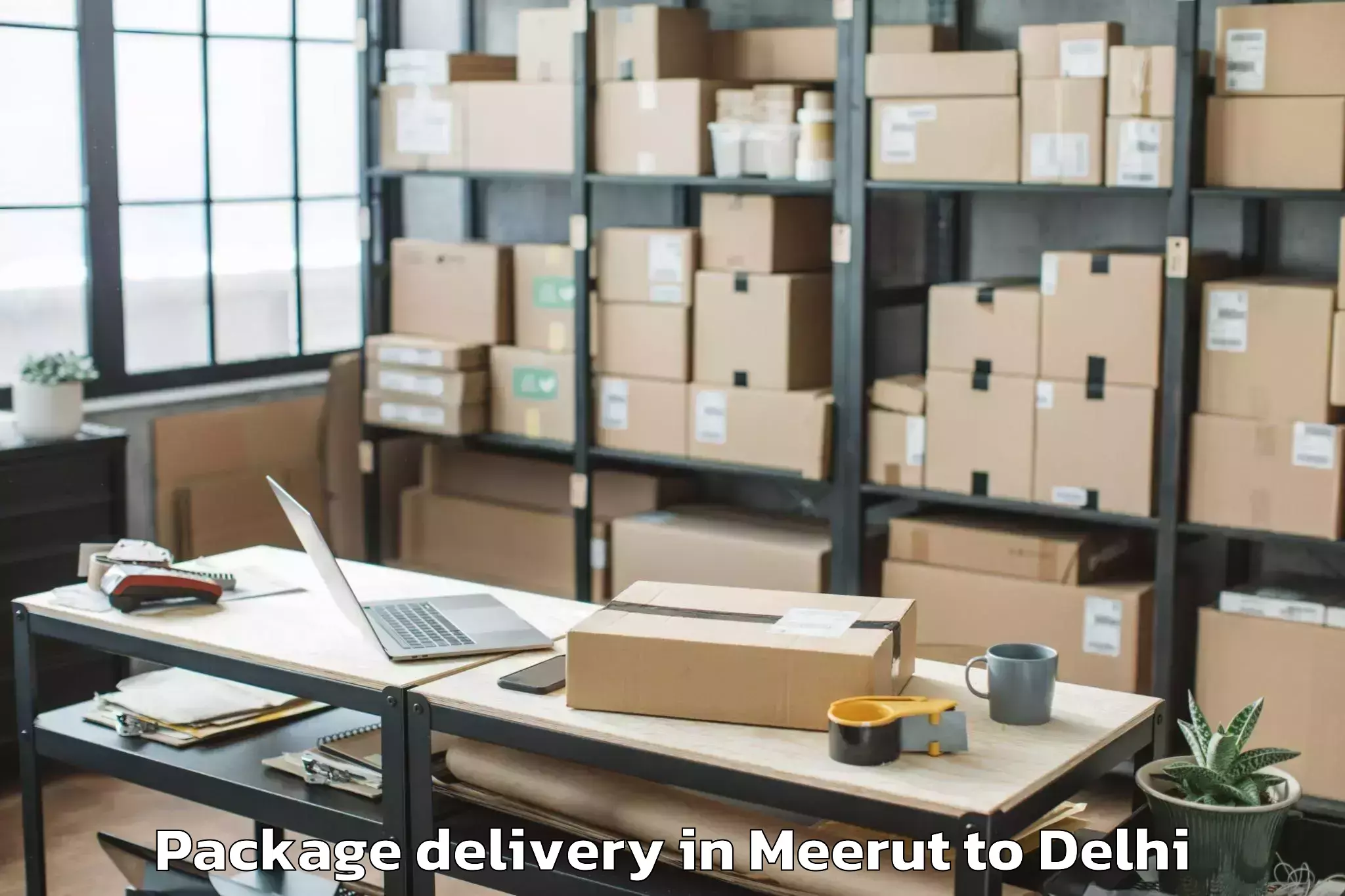 Quality Meerut to Jawaharlal Nehru University Ne Package Delivery